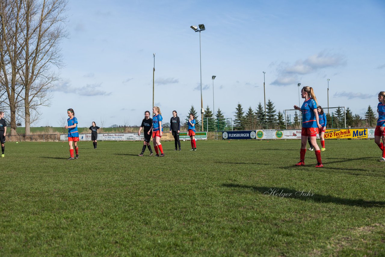 Bild 259 - C-Juniorinnen SV Steinhorst/Labenz - TSV Friedrichsberg-Busdorf : Ergebnis: 5:0